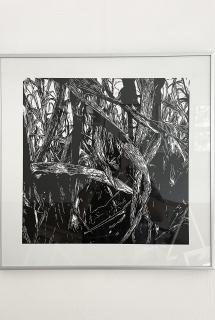 L.A.B.O.R.A.T.Ó.R.I.U.M.