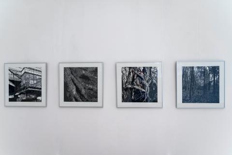 L.A.B.O.R.A.T.Ó.R.I.U.M.