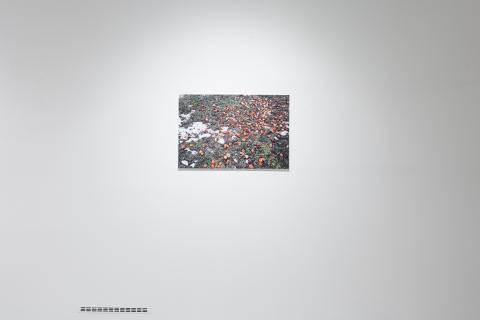 Kristína Mičová - Merkur 4160 AB