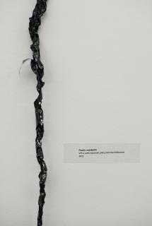 Viktória Bakušová - Povol(n)iť