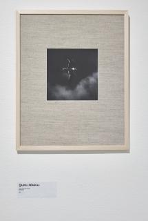 Olja Triaška Stefanović - Practices of Nearness